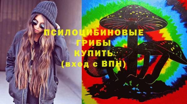 ПСИЛОЦИБИНОВЫЕ ГРИБЫ Алзамай